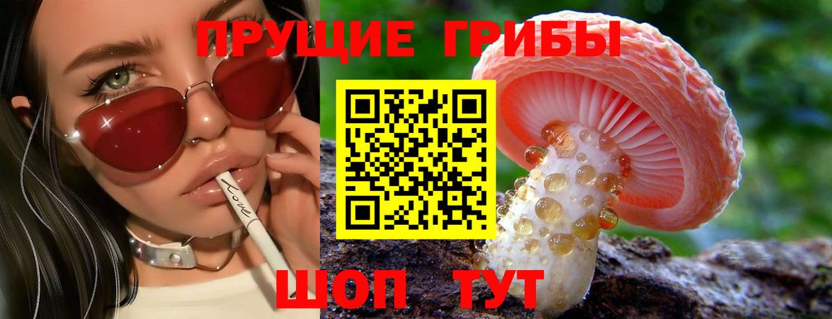 Псилоцибиновые грибы Cubensis  Вход с VPN  Ухта 